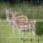 Factory sale Plastic Deer Farm Fencing Nets/animal fencing net