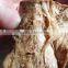 Vegetarian meat processing equipment/pr