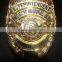 die cast collectable US engraved police metal holden badge