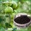 patassium humate Organic Fertilizer