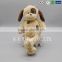 Wholesale OEM dog plush toy with low price