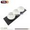 Rectangle slate and ceramic dish of soy sauce