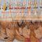 200-100000 chicken slaughter line slaughterhouse/poultry abattoir