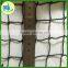 Plastic Mesh hdpe Knitted vinyard anti bird protection net