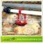 LEON series drinker for chicken farm automatic equipment