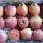 2015 Crop cold store Red Fuji Apple