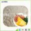 100% Water soluble pineapple juice powder and pineapple powder for hot sale