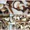 Mushroom & Truffles supplier