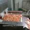 iqf freezing tunnel quick freezer for shrimp