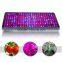 1200W Grow Light Kit for Red Blue White Indoor Plants