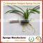 Eco-friendly Healthy Life Balcony moisture retain growing sponge