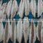 Frozen Mackerel Loins