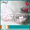 Watch Box Clear Food Packaging Boxes