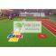 cheap price and  beautiful  colors  landscape grass