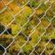 Chain Link Fence
