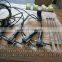 EDC VE pump controller