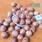 Lotus Seed Lotus Nut Lotus Kernel Dried Red Lotus Seed Brown Lotus Seed Without Core Plumule