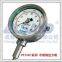 PT135G-35MPa-M22 purely mechanical Prointer Melt Pressure Guage