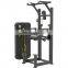 Dhz Fitness Hot Sale Strength Training Exercise Equipment For Dip Assist
