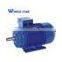 0.55kw y2 Series Three-Phase Asynchronous Induction Electrical Motor