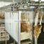 Chickens slaughter line slaughterhouse equipment