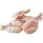 frozen skinless frog leg meat frog meat frozen frog legs