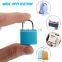 Unique Waterproof Hasp Silver Small Keys in Bulk Code Brass Padlock 50mm Safety  Metal Luggage Combination Padlocks