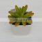 Best selling high simulation mini artificial plants and succulent with best price