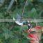 Hot sell carbon steel pvc handle flower garden scissors