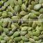 Pumpkin Seeds Kernels New Crop of 2015 AA