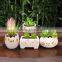 2016 small cheap porcelain decorative ceramic flower pots for Succulents plant