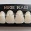 CE Certification Synthetic Polymer Teeth