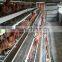 A Type, 3 Layer Layer Chicken Battery Cages In Poultry Farms