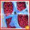 Frozen Fruit Iqf Raspberry Price
