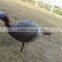 Vivid XPE Decorate Hunting Goose,designed Emulational Craft Turkey Decoy