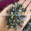 Bulk Sale Polished Natural Labradorite Tumble Stones