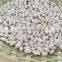 China Spanish White Kidney Beans
