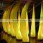 Party decorations glow inflatable tusk
