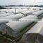 low cost greenhouse commercial greenhouse agricultural greenhouse