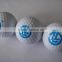 Customized logo high quality two-piece golf ball