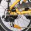 20inch Foldable battery electric bike