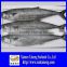 whole seafood frozen spanish mackerel fillets fish food wholesale