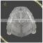 Hot Sale Unbreakable Lamp Shades in Glass with Good Price