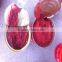Vinegar Preservation Process and Canned Style Tomato Paste