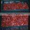 Frozen Egyptian Fruits ( Frozen Strawberry )