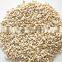 hot selling AFI STAND CASHEW NUT