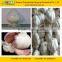 Garlic Extract Bulk Allicin Powder from professional factory
