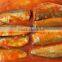 Canned Mackerel in Tomato Sauce