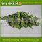 Best price selling of Dehydrated Leek/New harvested vegetables healthy and natural fresh Leek
