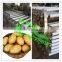 automatic potato sorting machine/apple sorter grader machine/onion grading machine